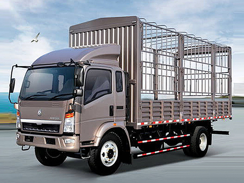 Used HOWO 4X2 Light Stake Truck